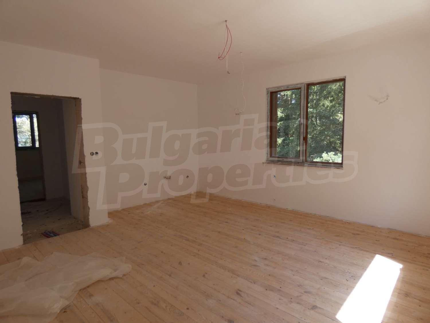 Gallery Picture 27