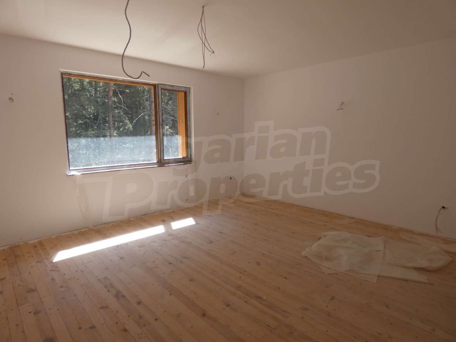 Gallery Picture 29