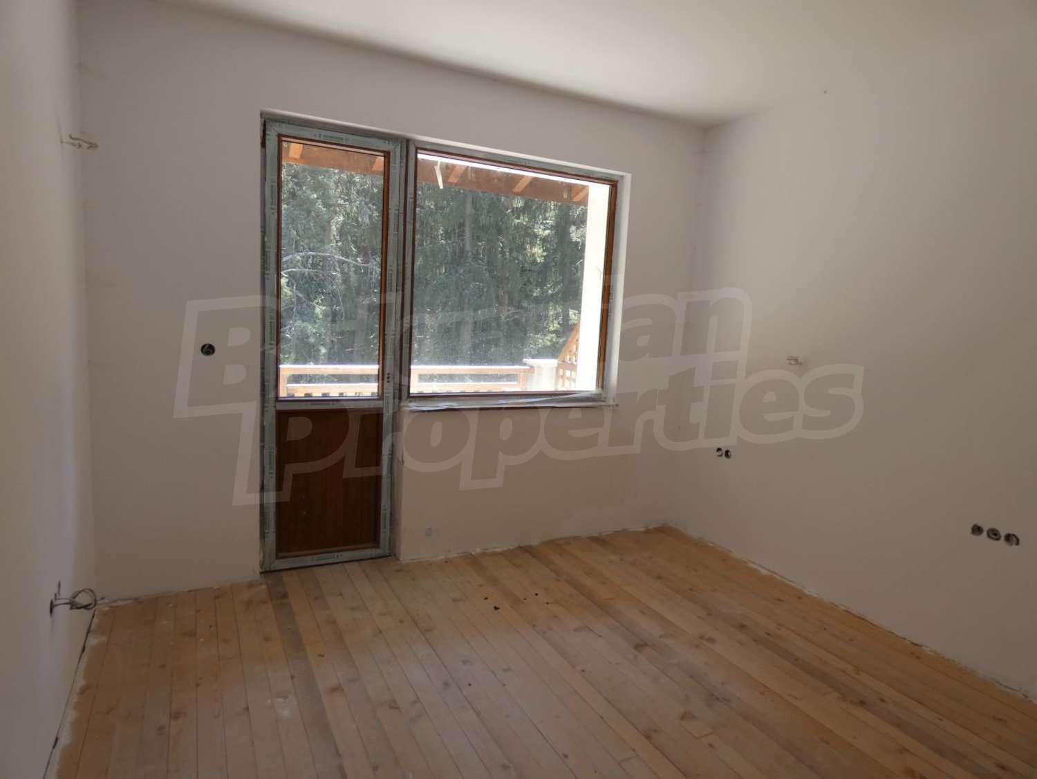 Gallery Picture 31