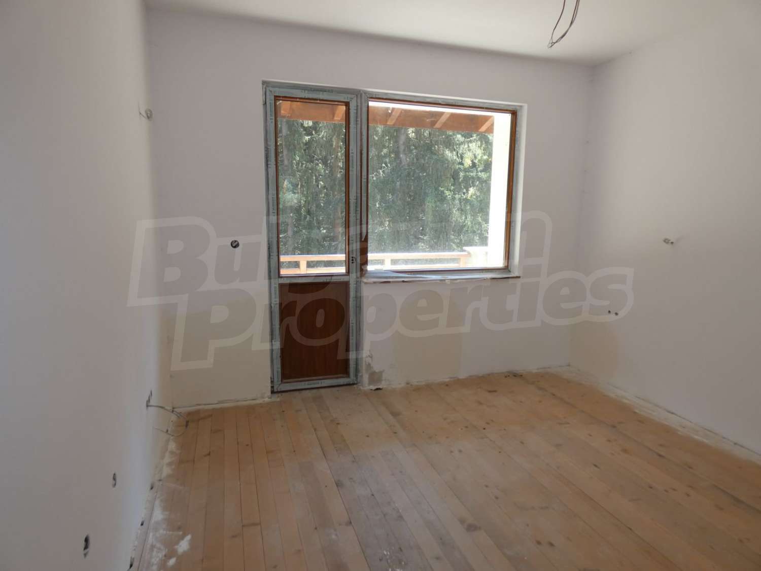 Gallery Picture 34