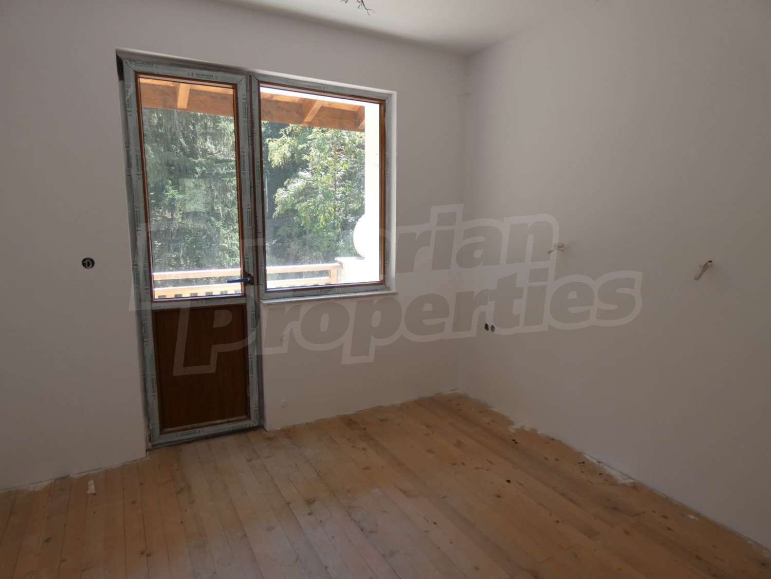 Gallery Picture 36