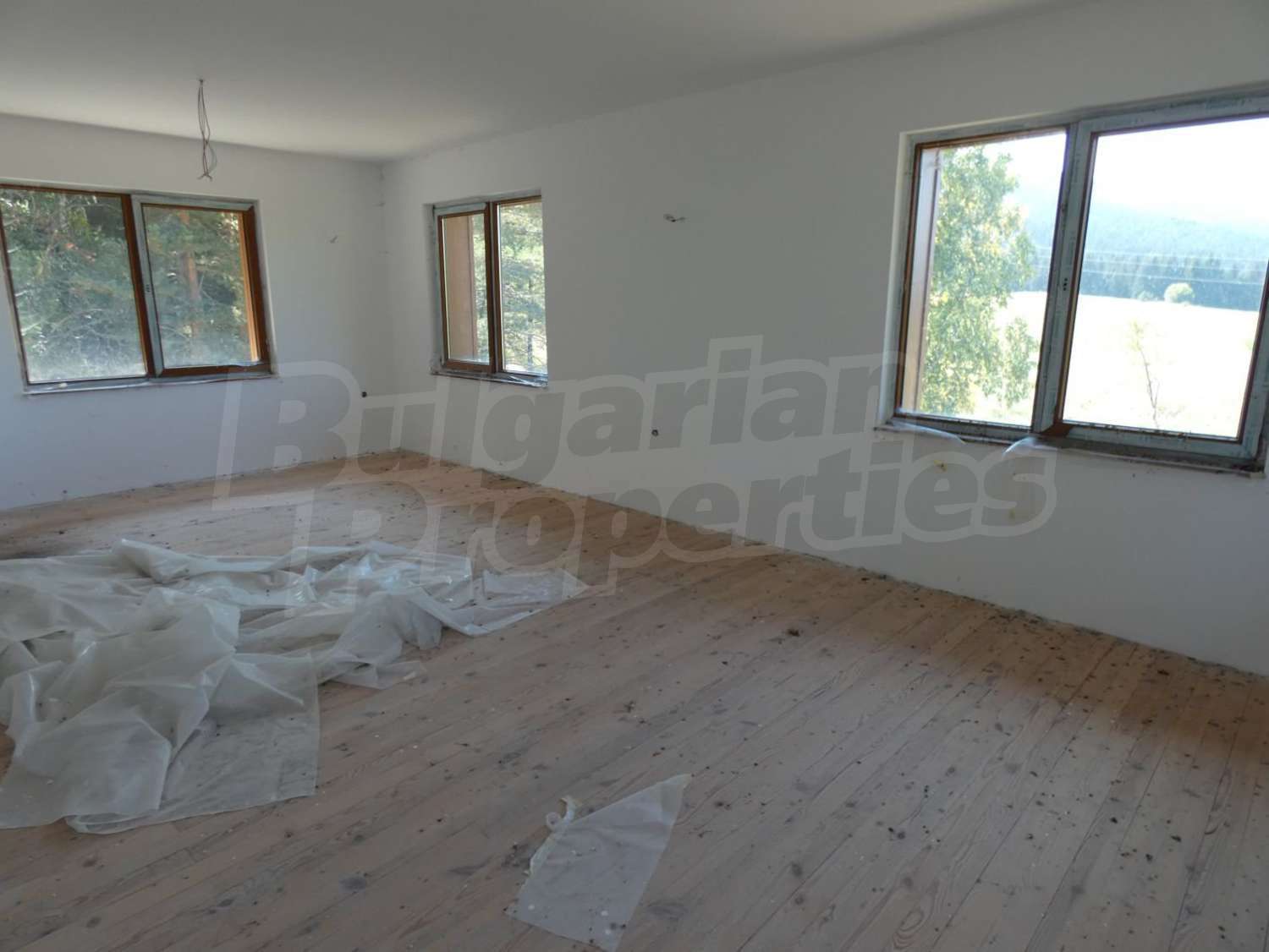 Gallery Picture 41