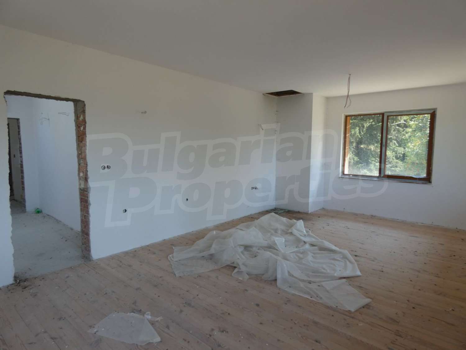 Gallery Picture 42