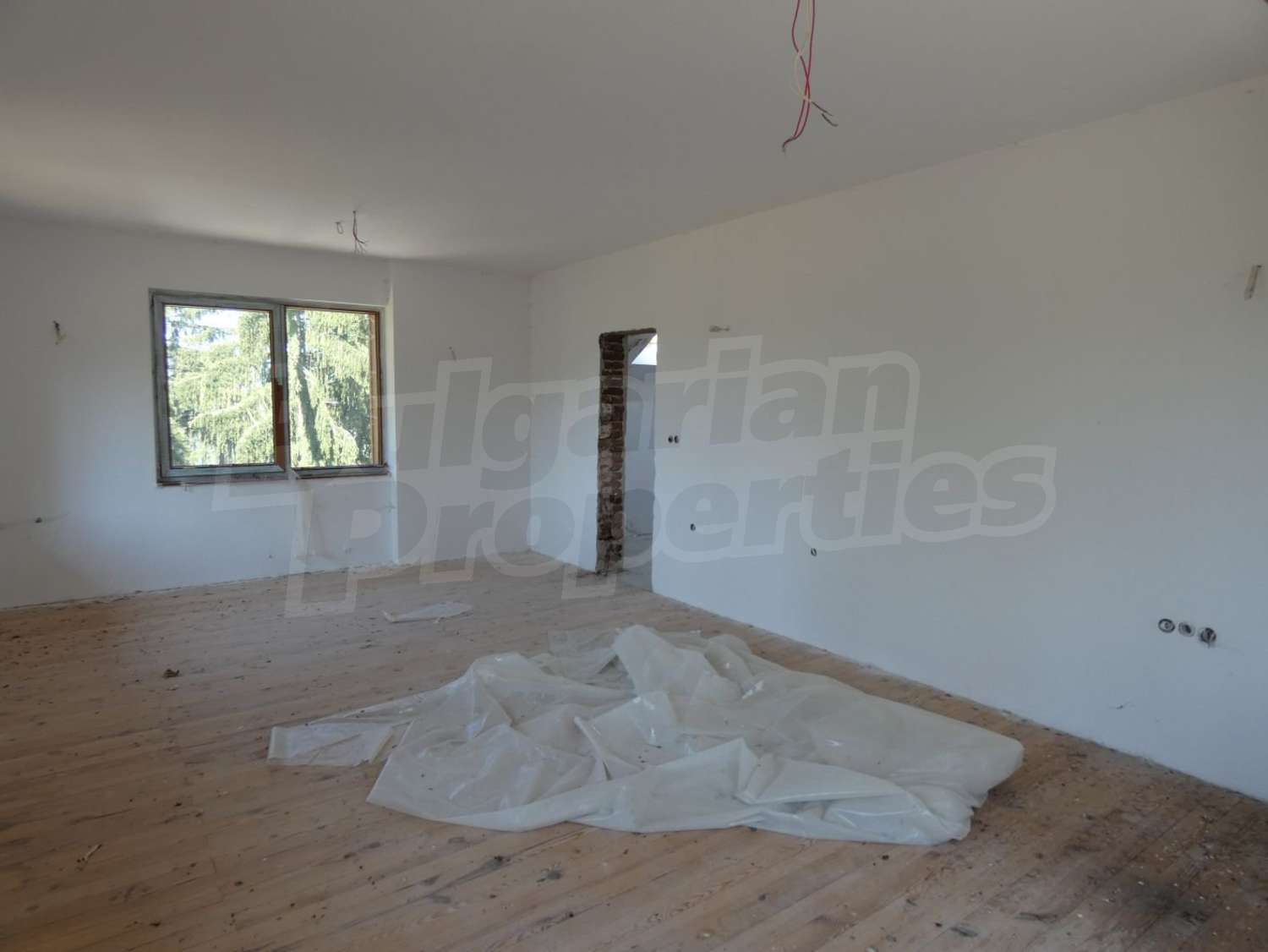 Gallery Picture 43