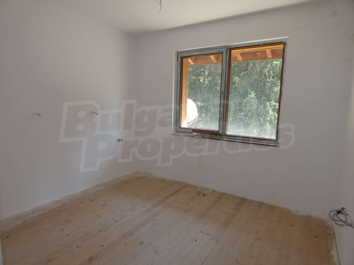Gallery Picture 45