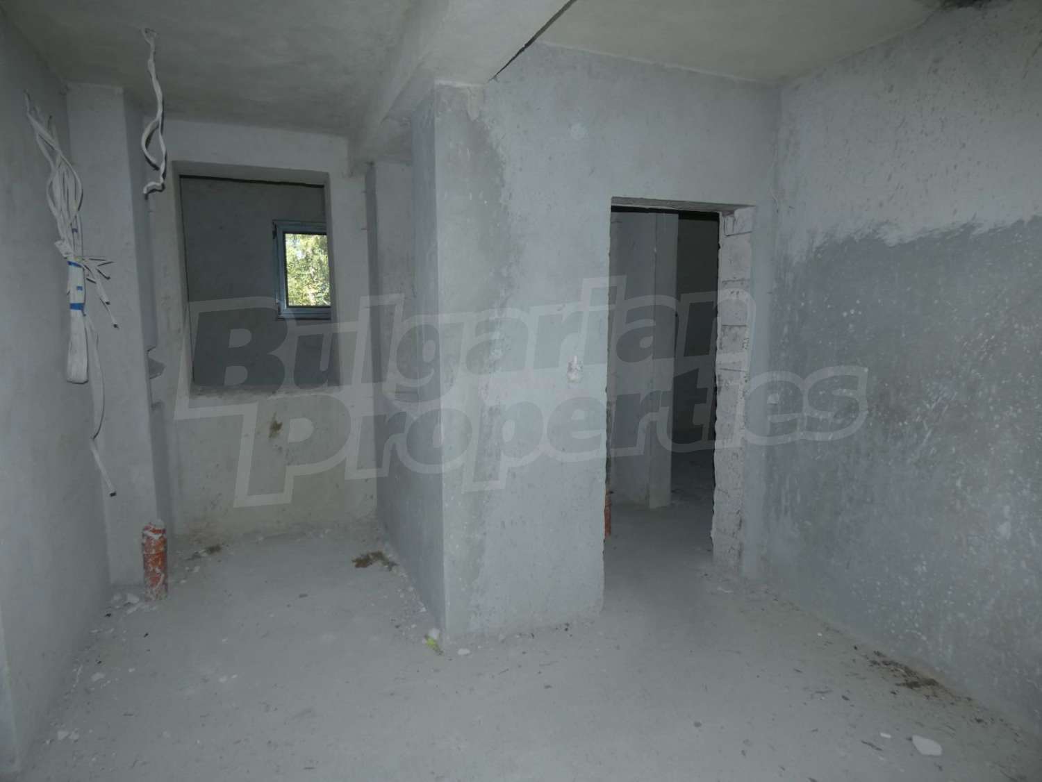 Gallery Picture 55