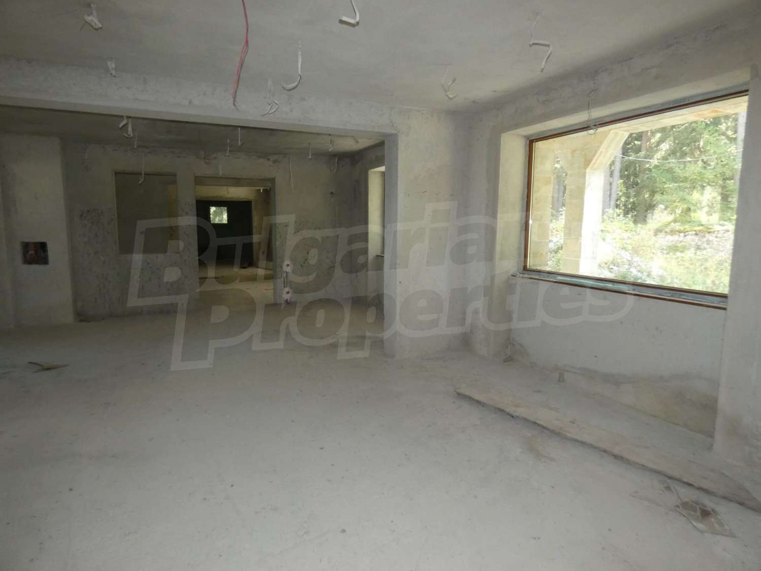 Gallery Picture 56