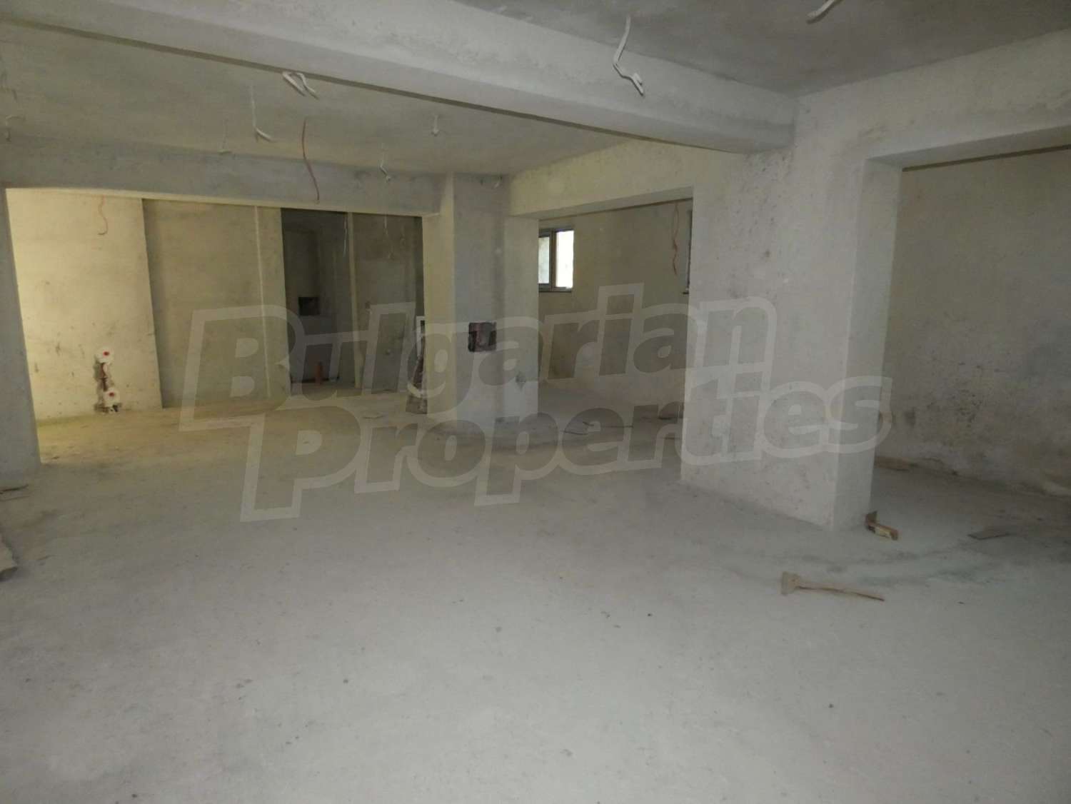 Gallery Picture 57