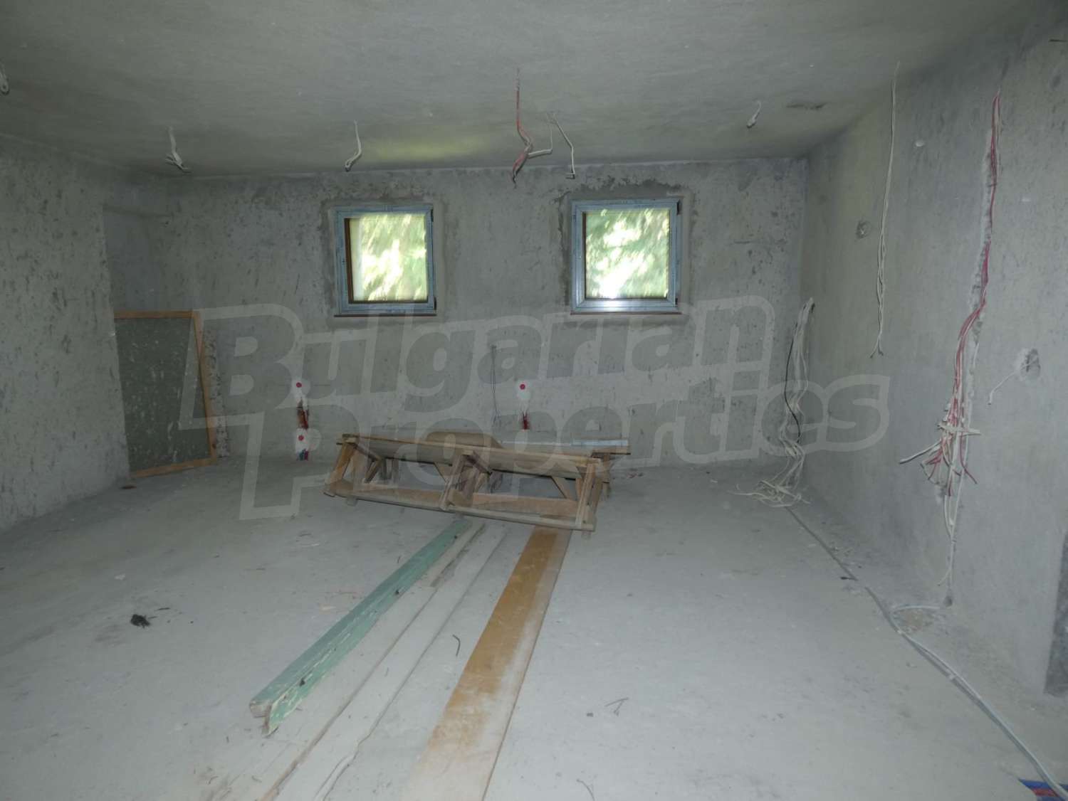 Gallery Picture 58
