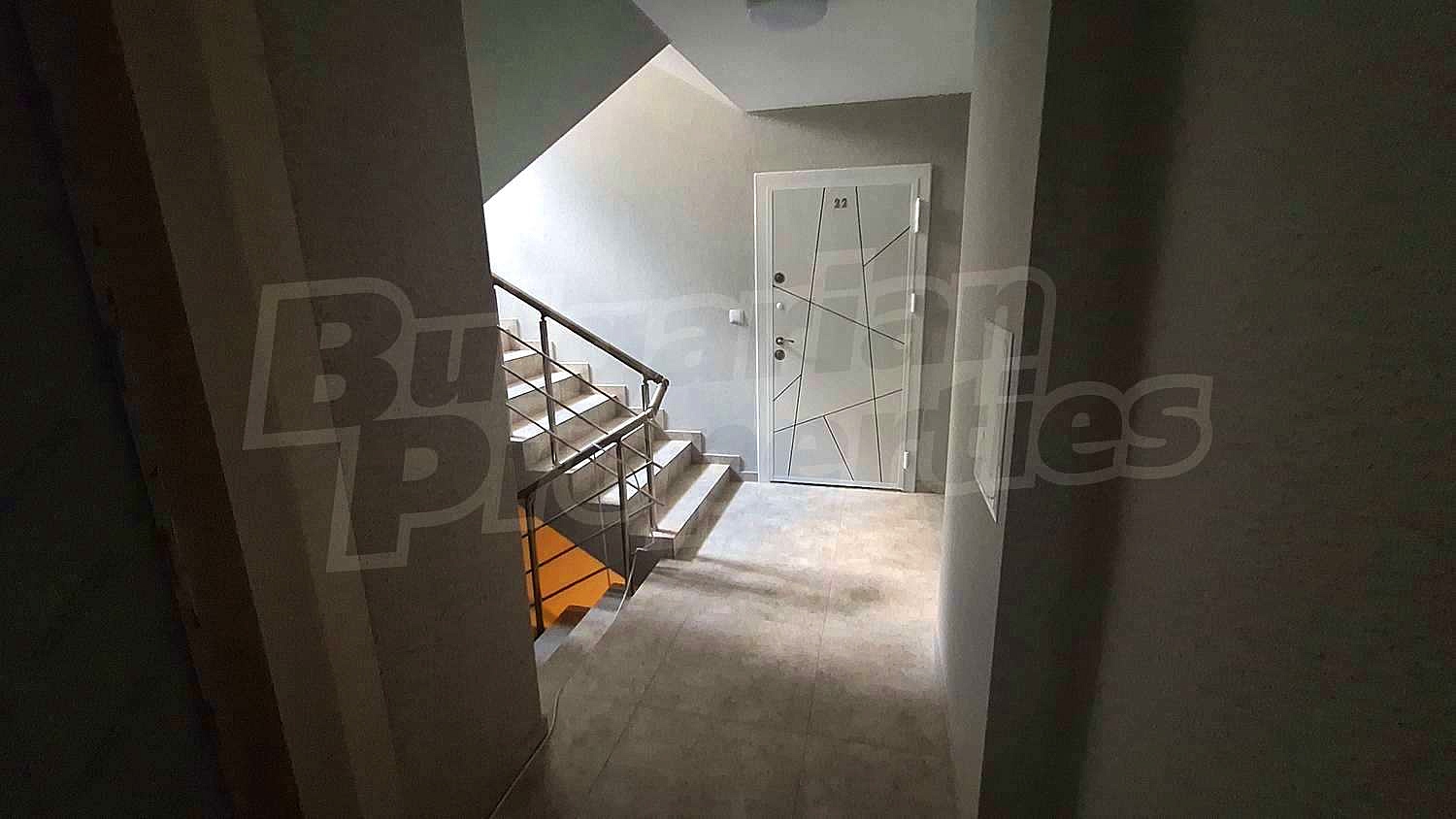 Gallery Picture 12