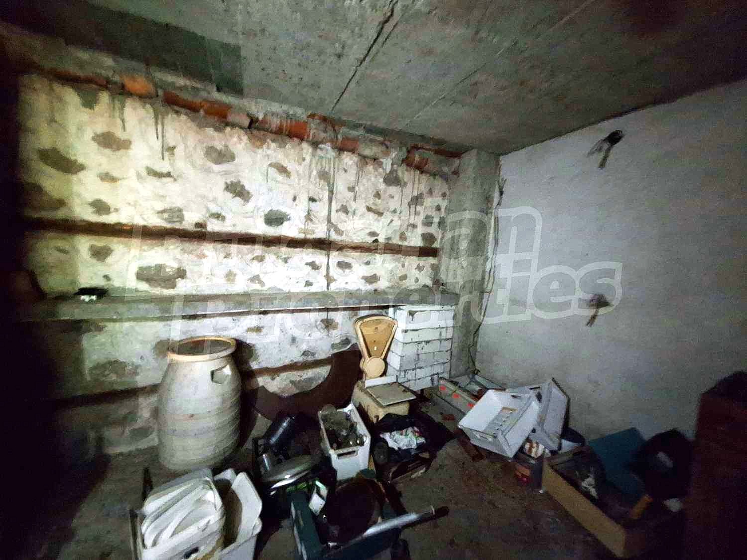 Gallery Picture 21