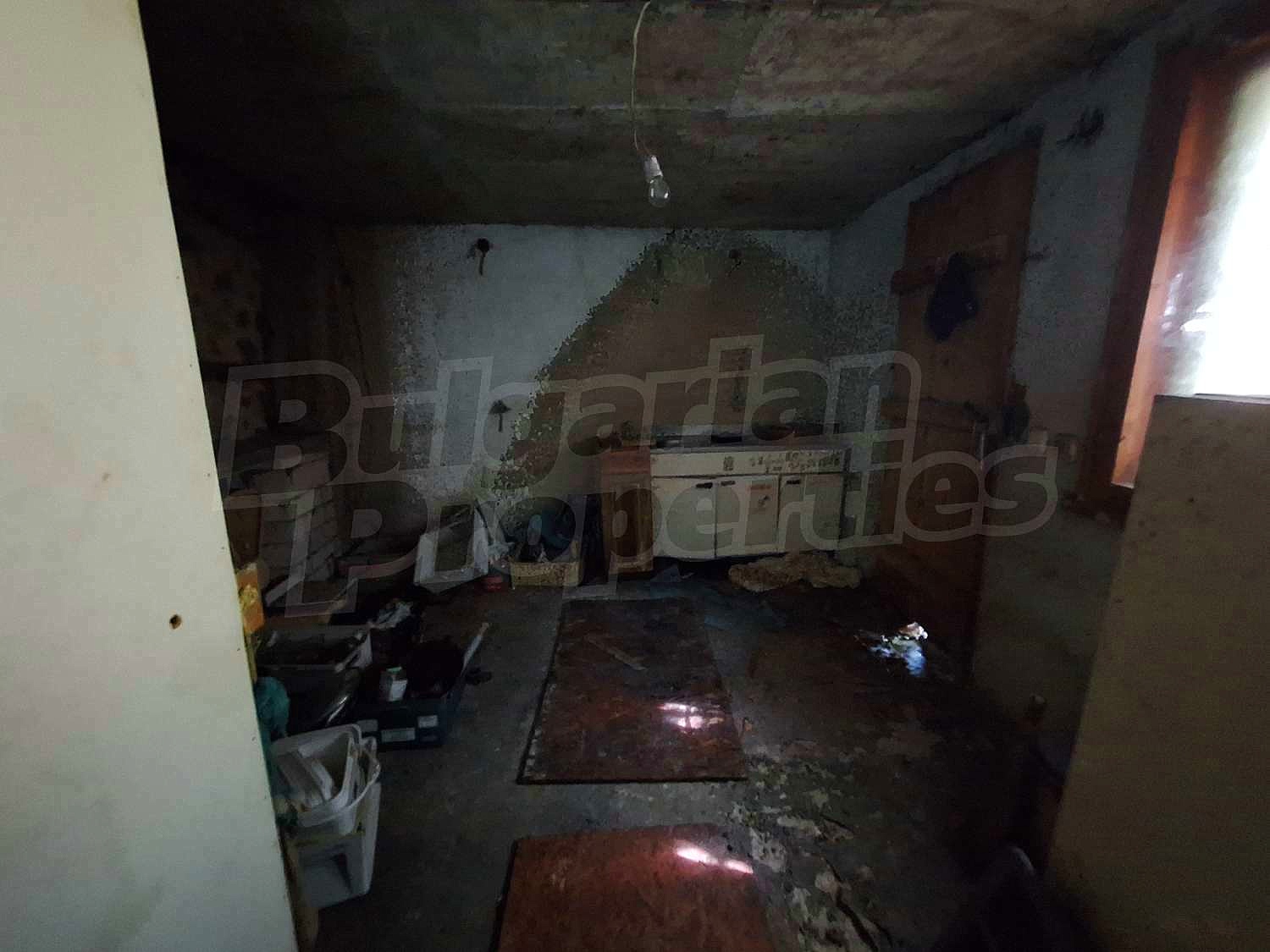 Gallery Picture 23