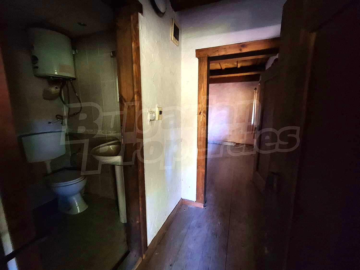 Gallery Picture 34