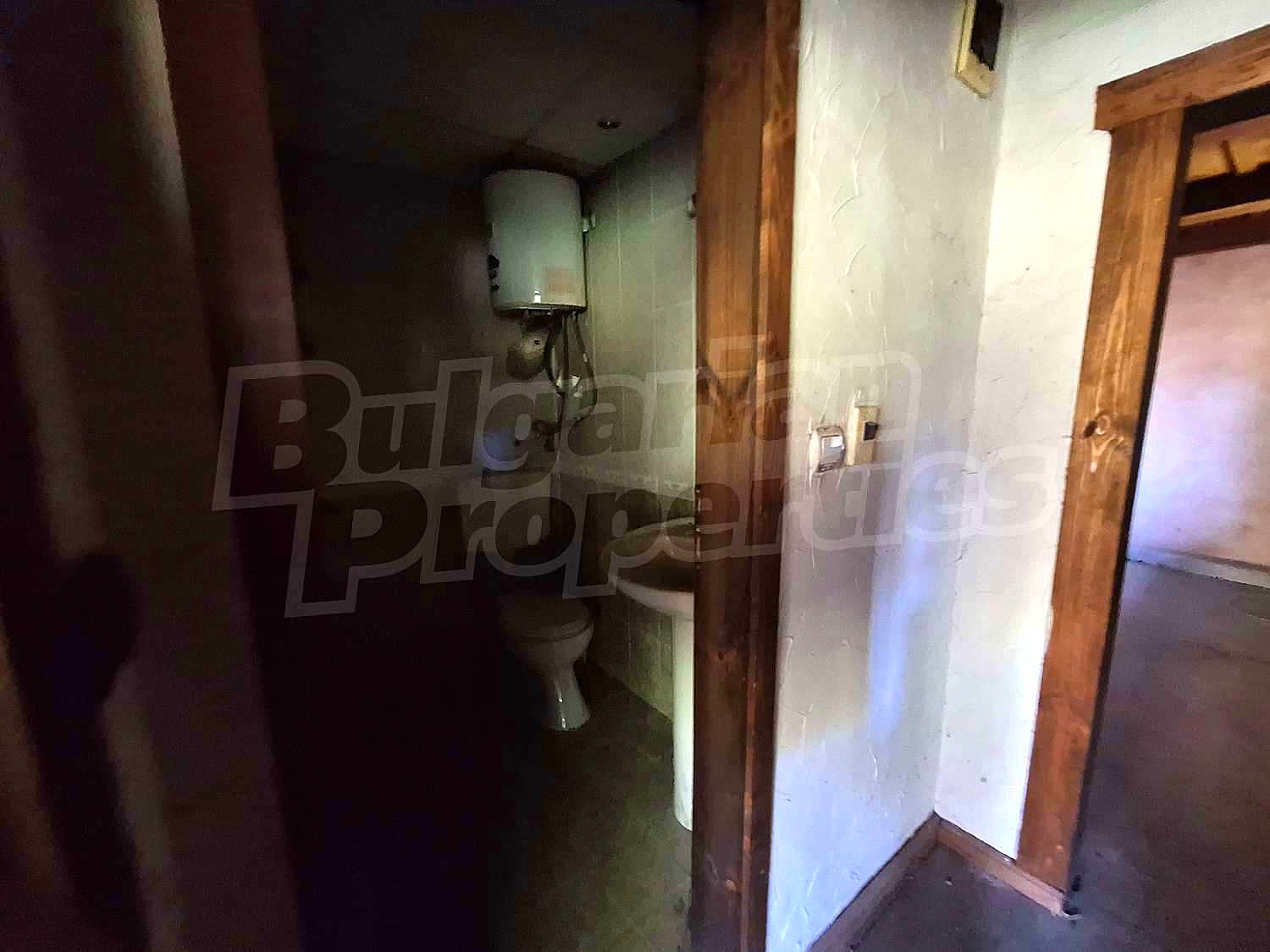 Gallery Picture 35