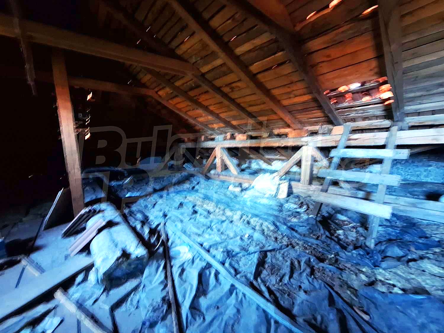 Gallery Picture 47