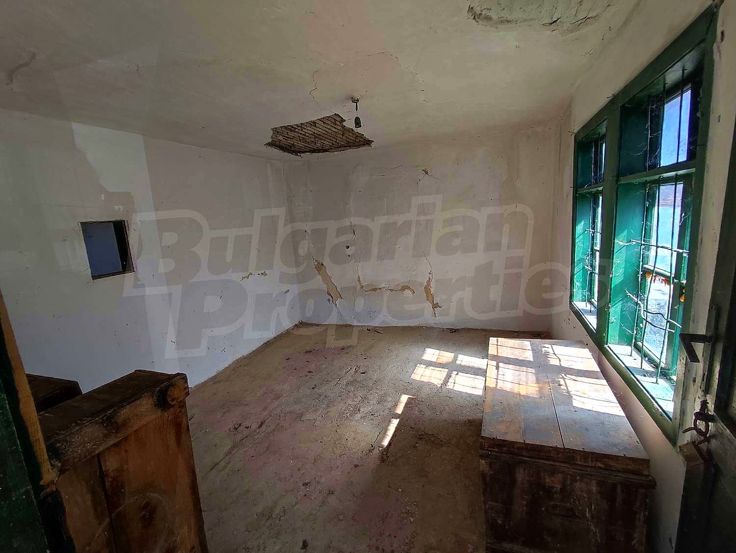 Gallery Picture 9