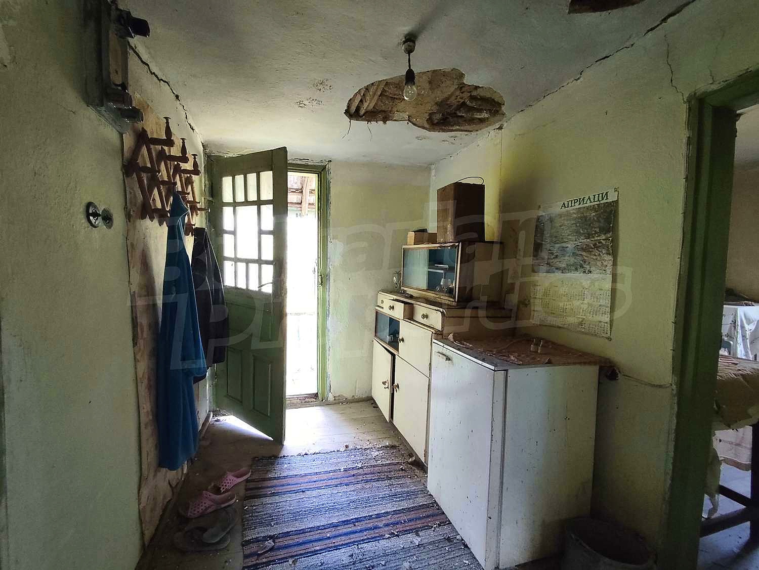 Gallery Picture 19