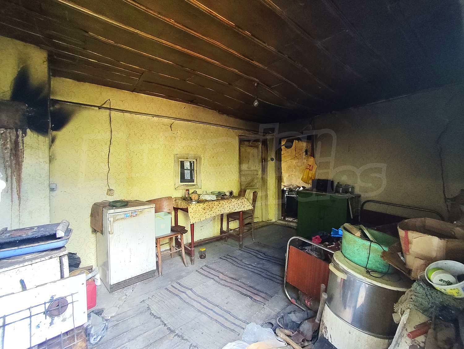 Gallery Picture 11