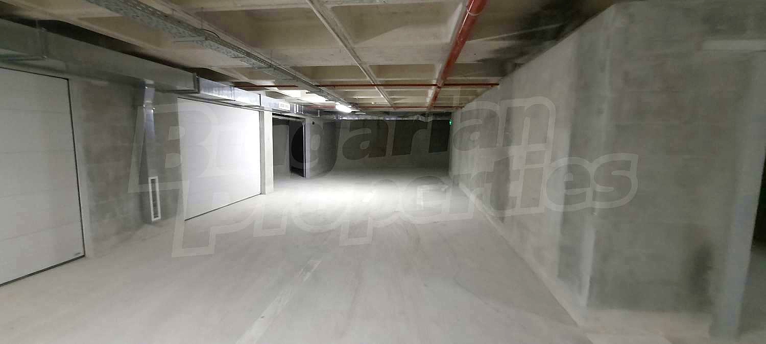 Gallery Picture 38