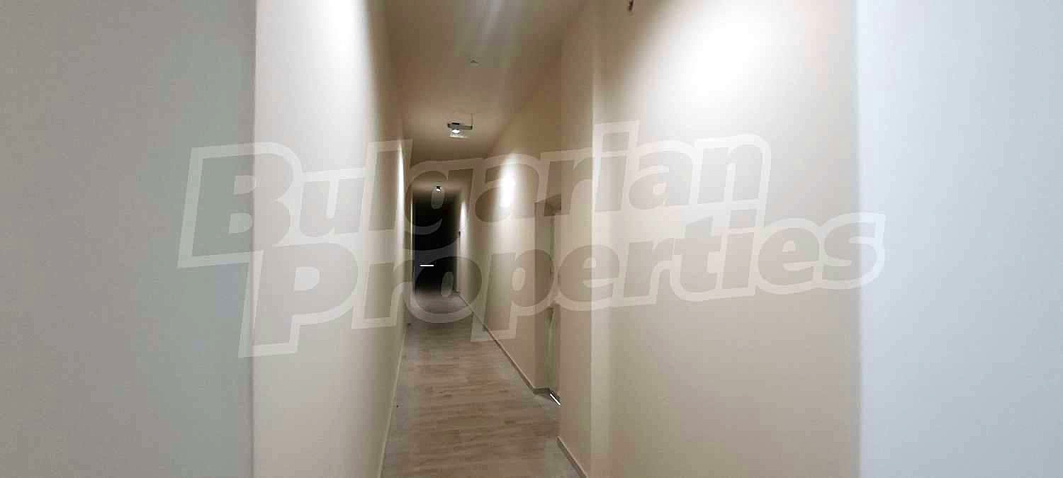 Gallery Picture 39