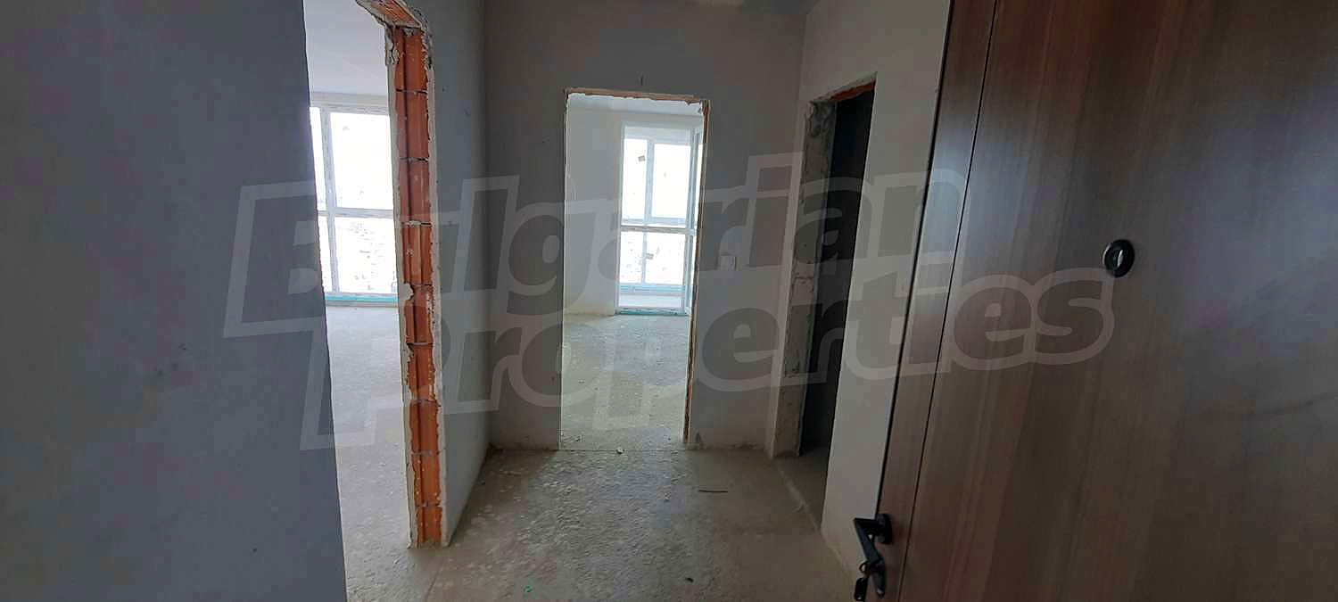 Gallery Picture 43