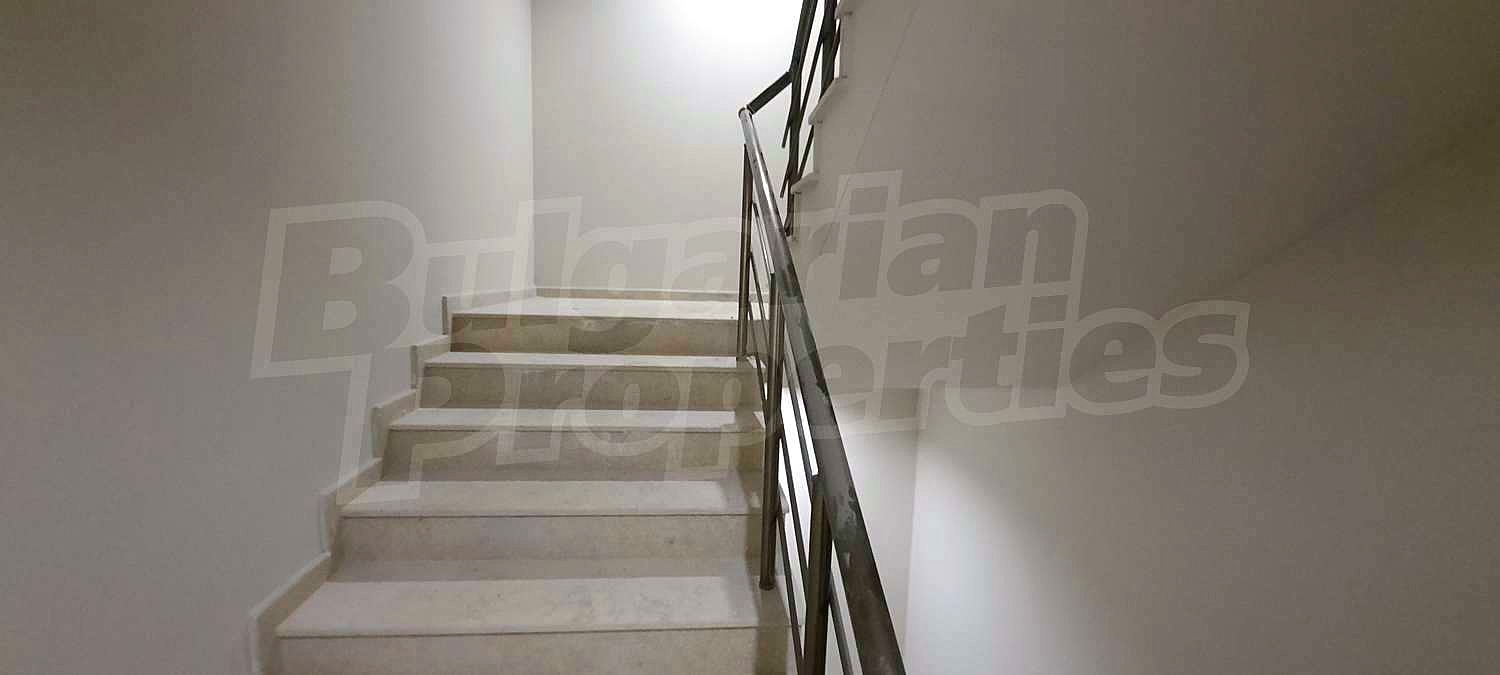 Gallery Picture 6