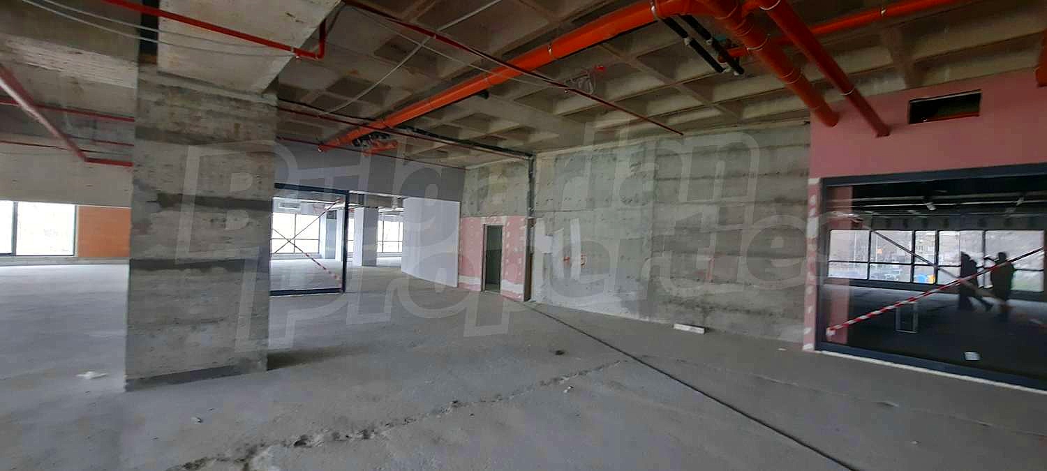 Gallery Picture 49