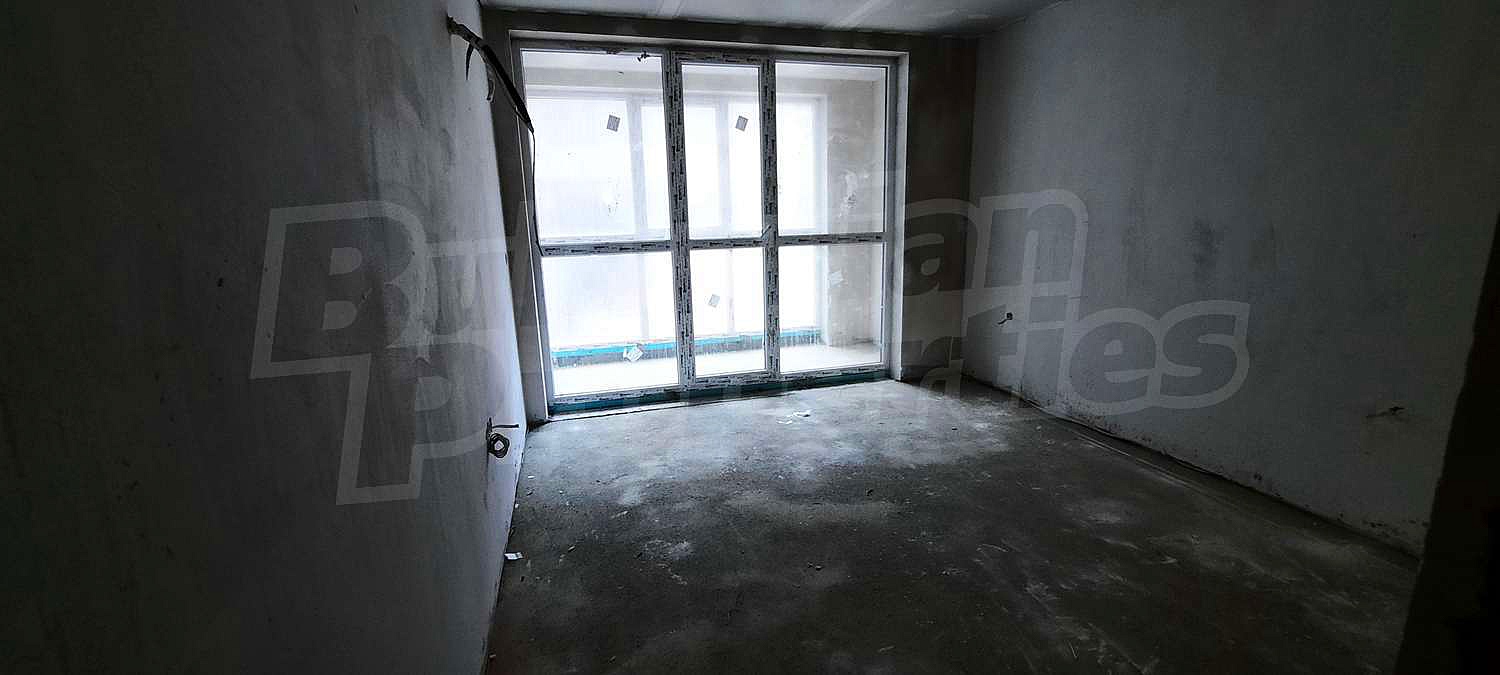 Gallery Picture 13