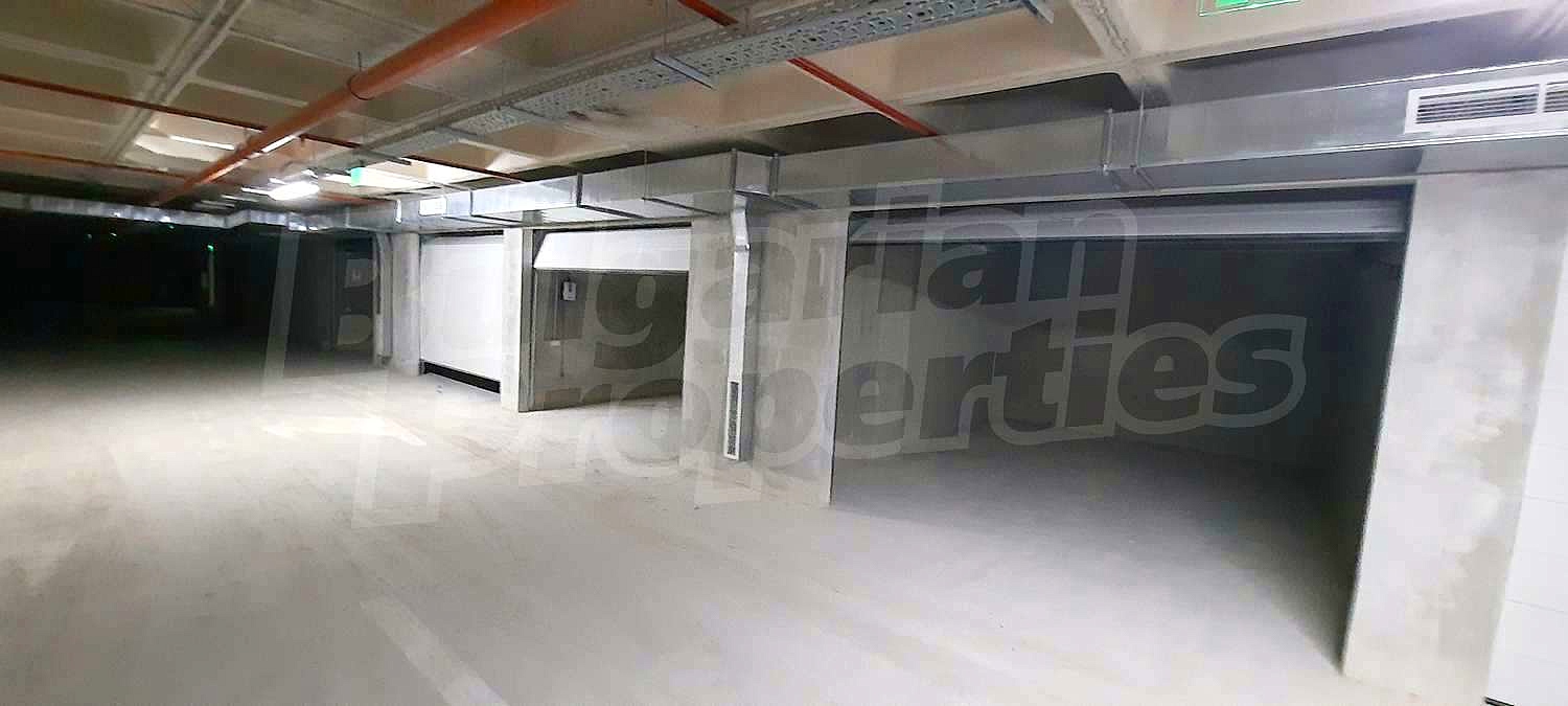 Gallery Picture 65