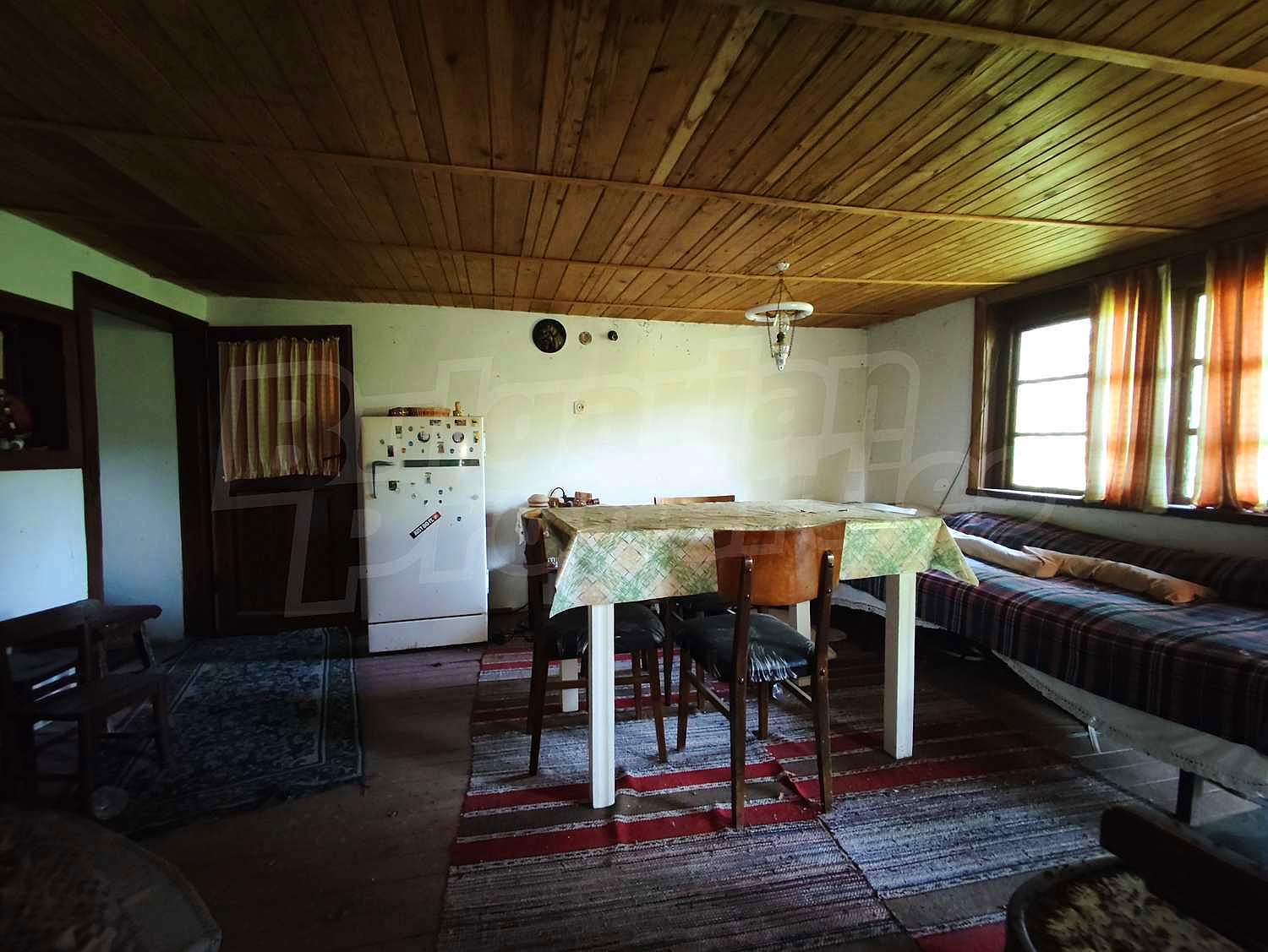 Gallery Picture 15