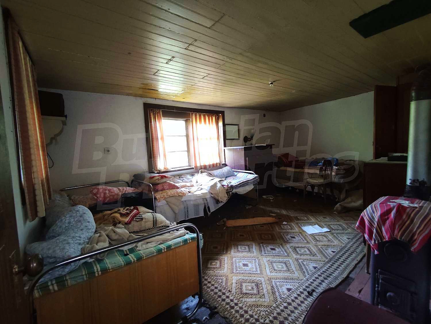 Gallery Picture 17