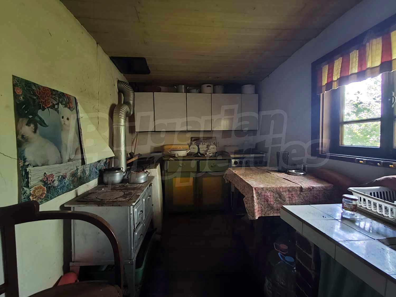 Gallery Picture 18
