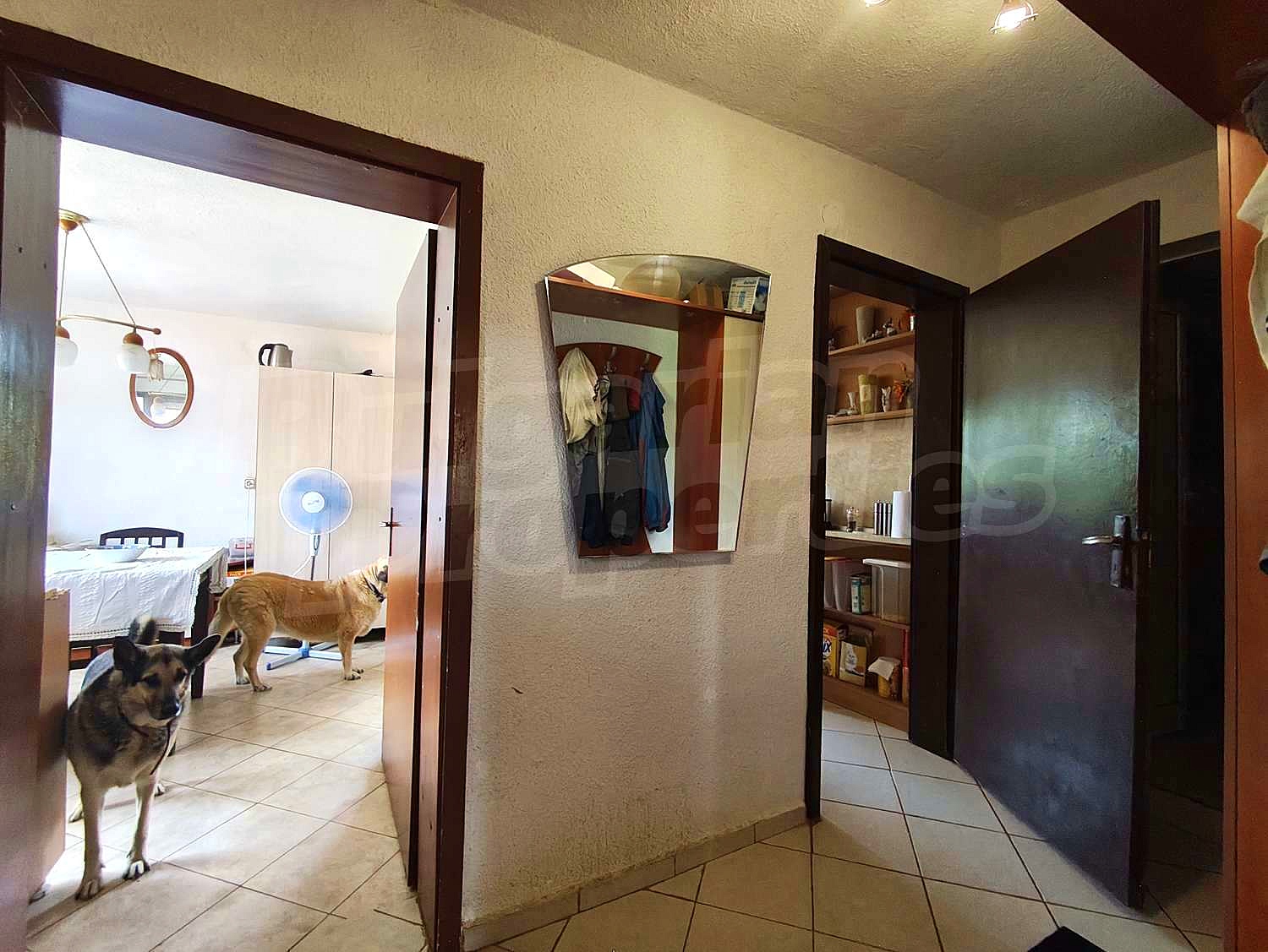 Gallery Picture 10