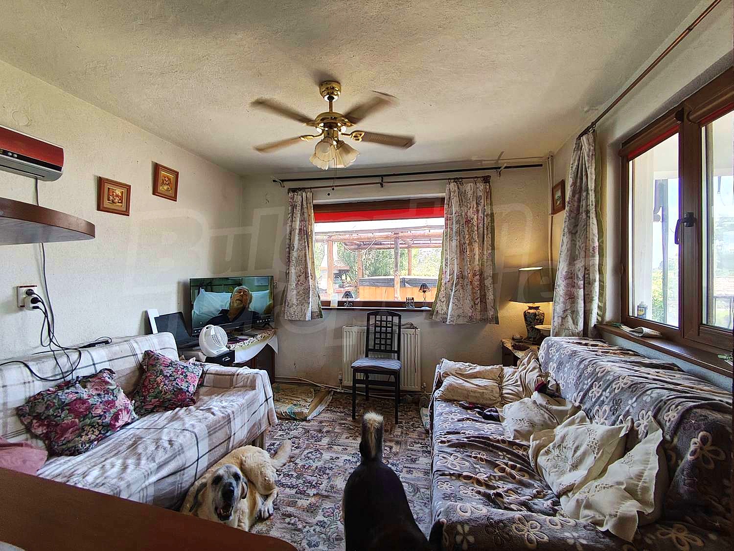 Gallery Picture 16