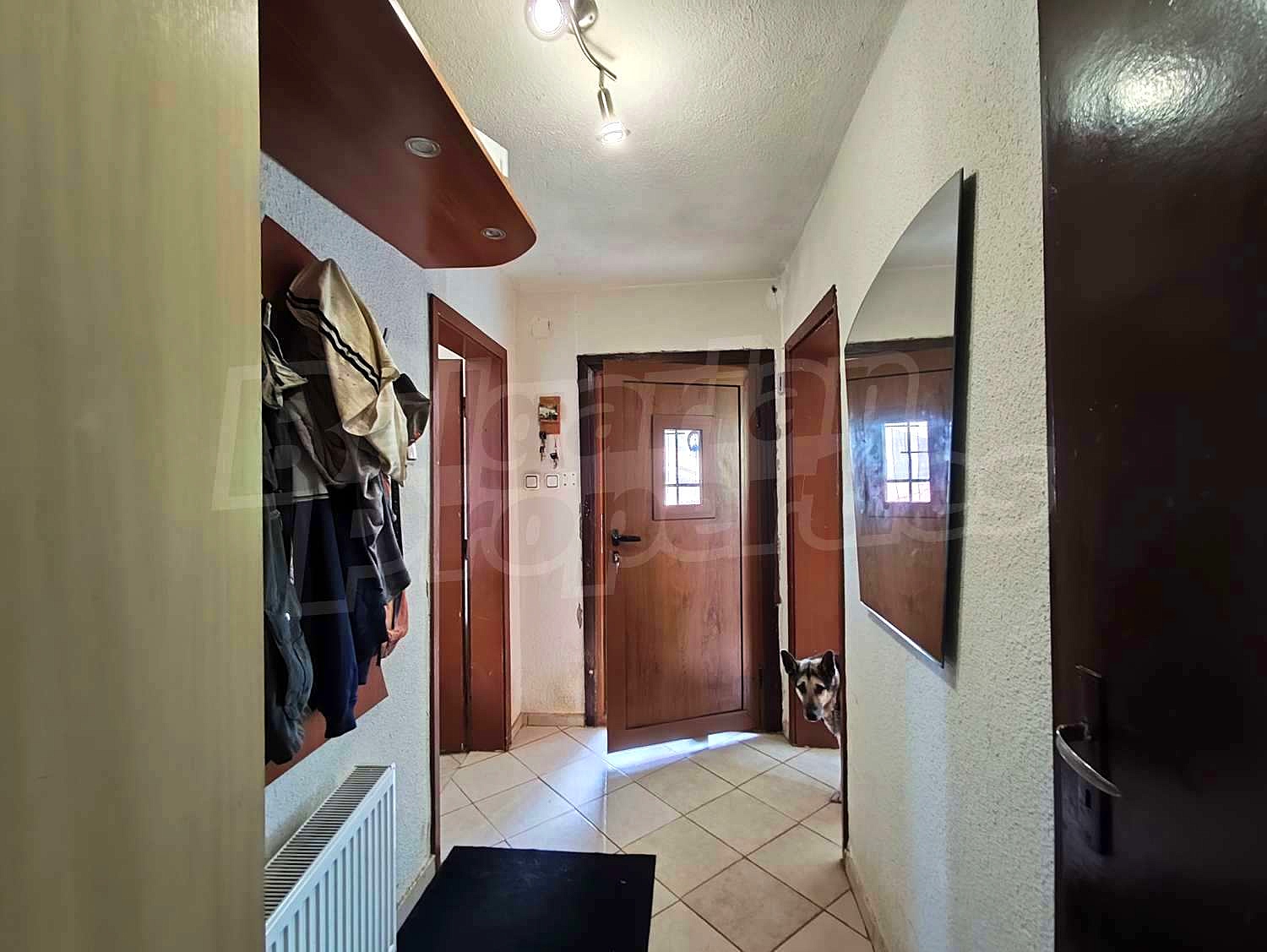 Gallery Picture 11