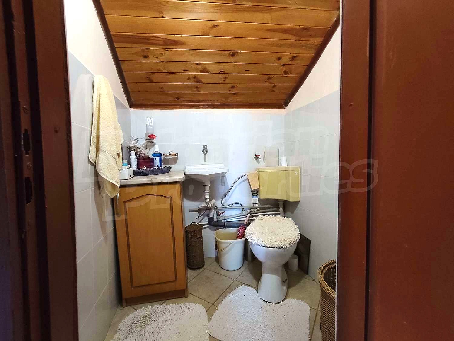 Gallery Picture 36