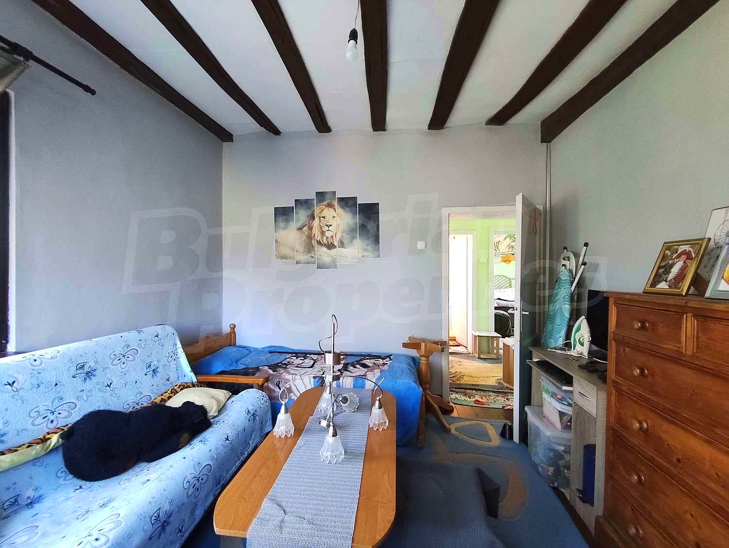 Gallery Picture 35