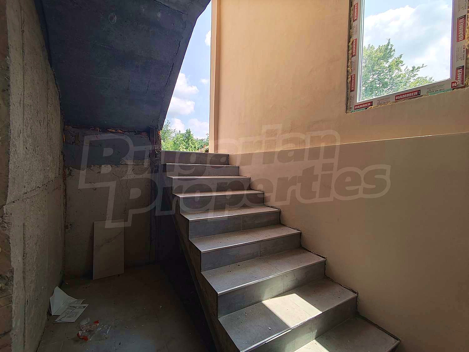Gallery Picture 23