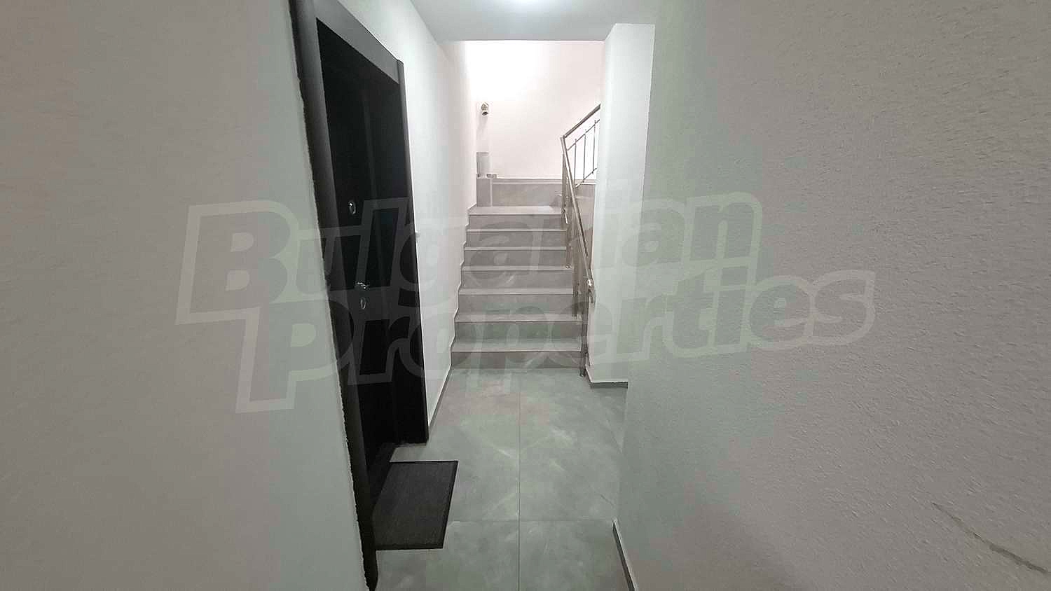 Gallery Picture 19