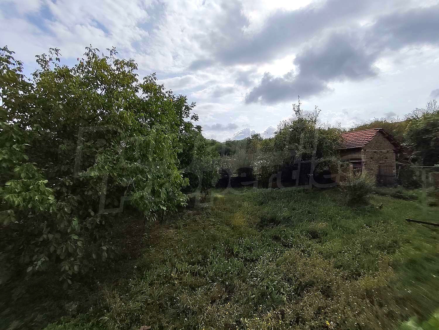Gallery Picture 31