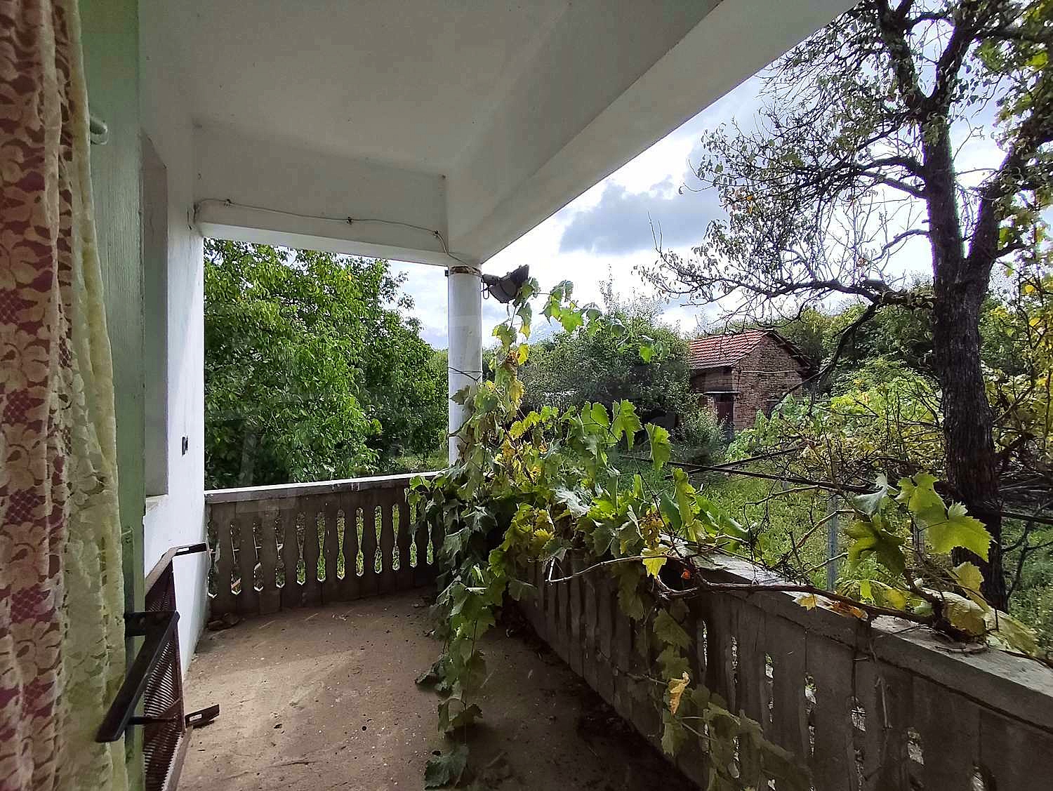 Gallery Picture 28