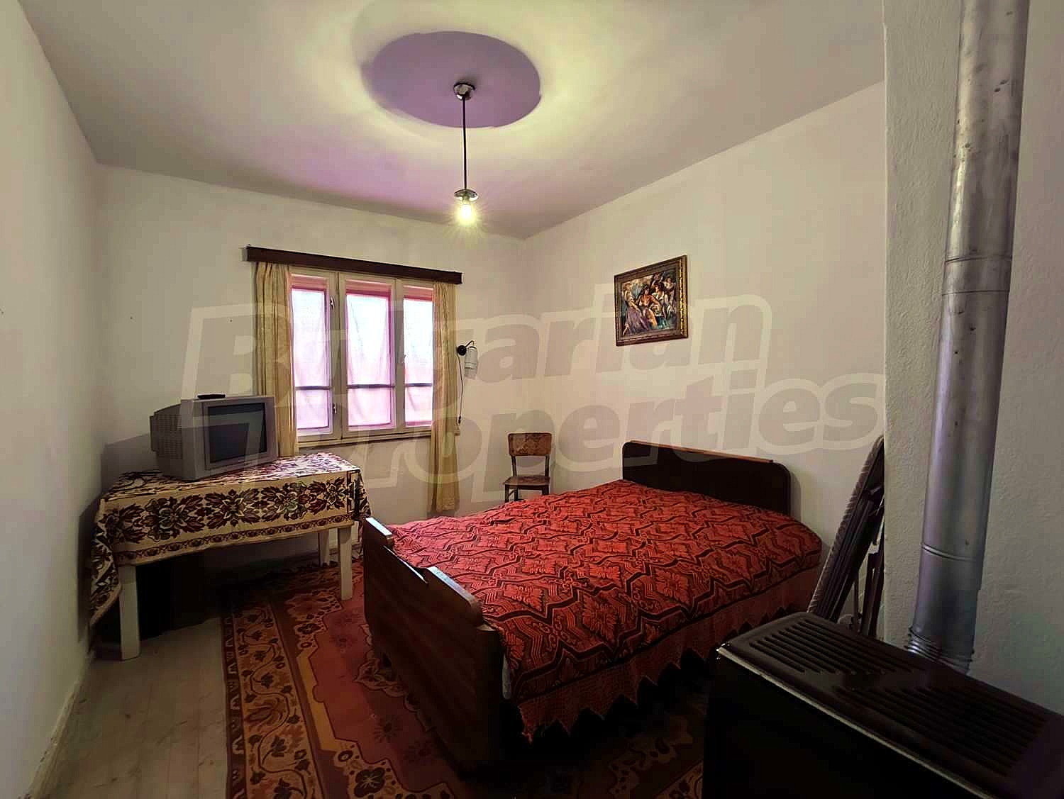 Gallery Picture 23