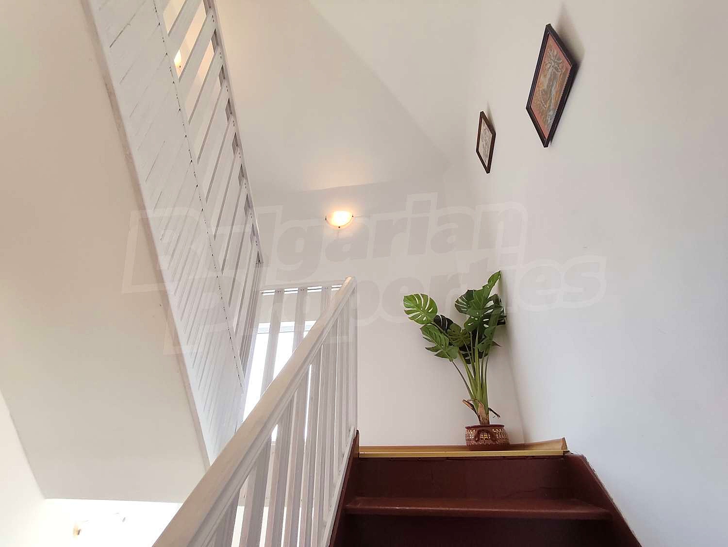 Gallery Picture 25