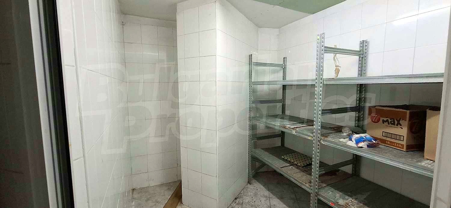 Gallery Picture 11