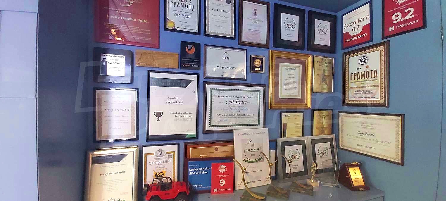 Gallery Picture 18