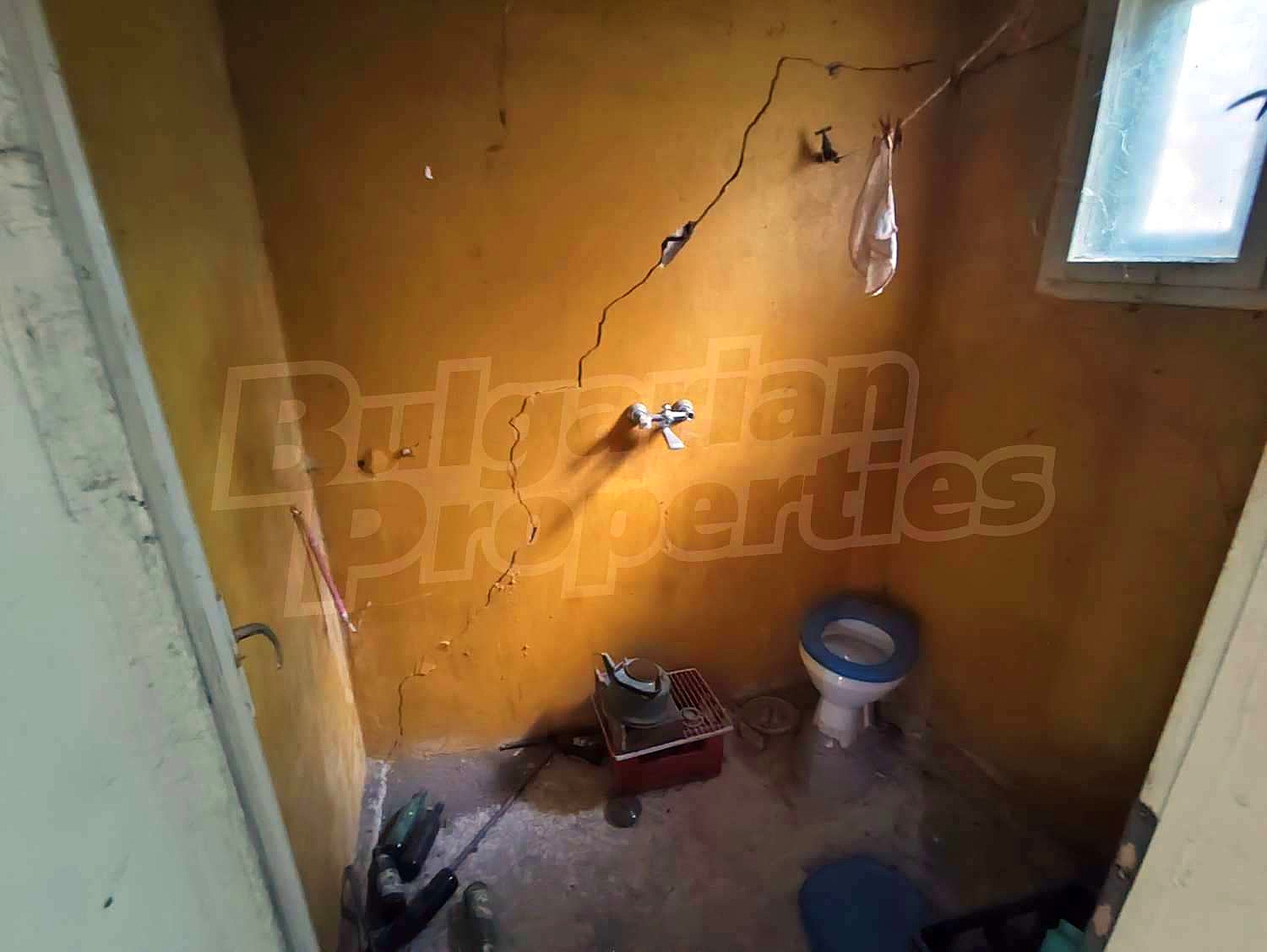 Gallery Picture 5