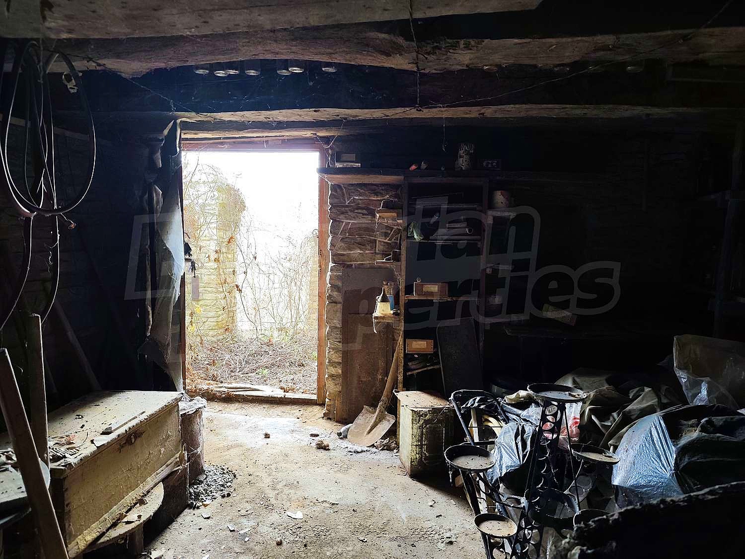 Gallery Picture 26