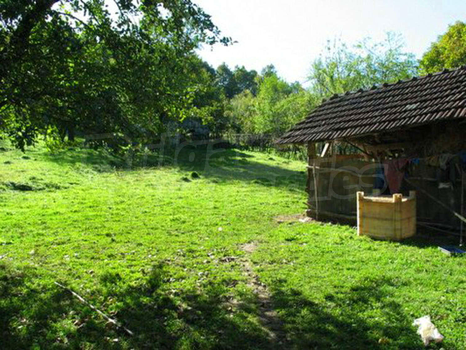 Gallery Picture 14