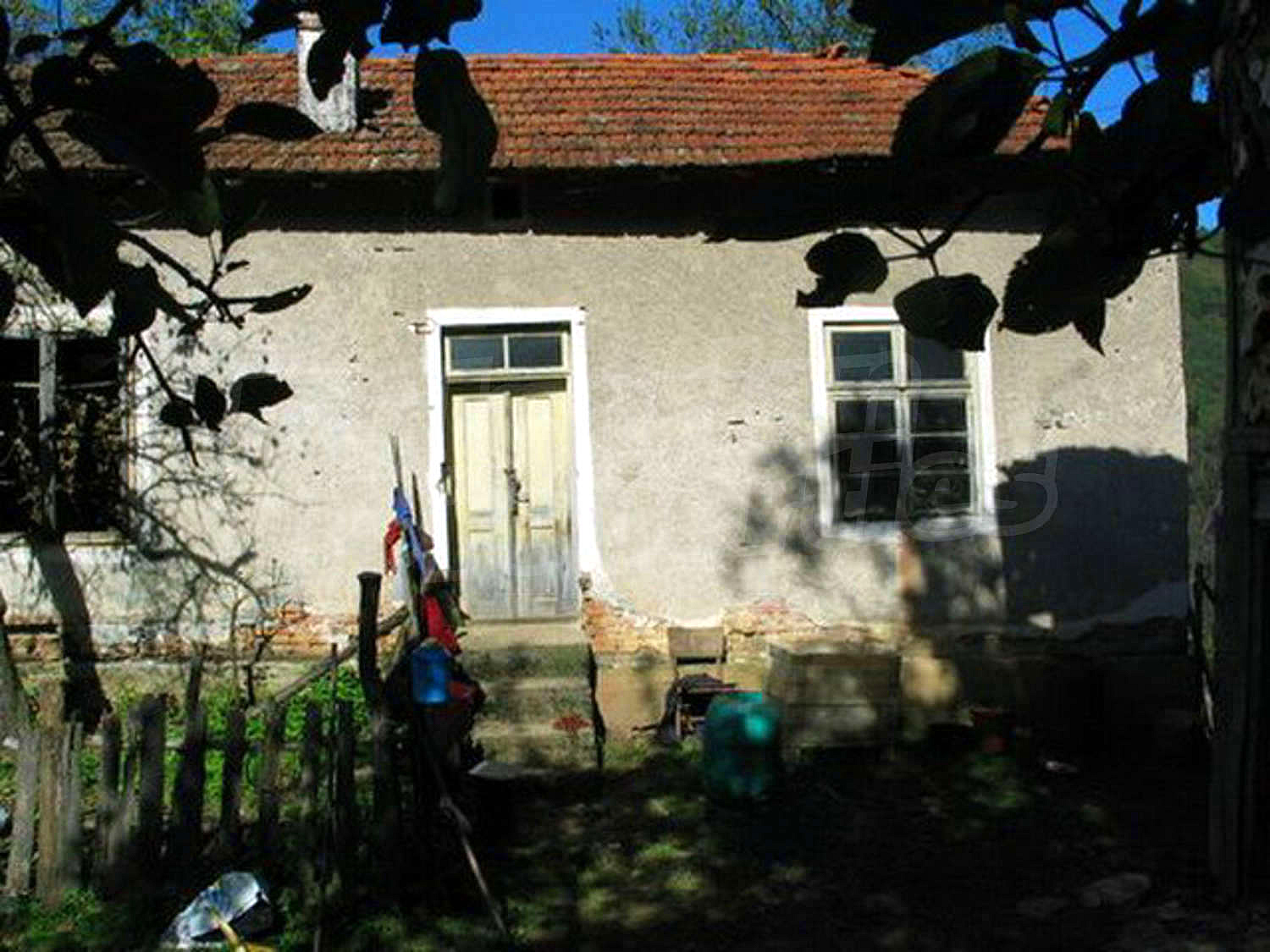 Gallery Picture 29