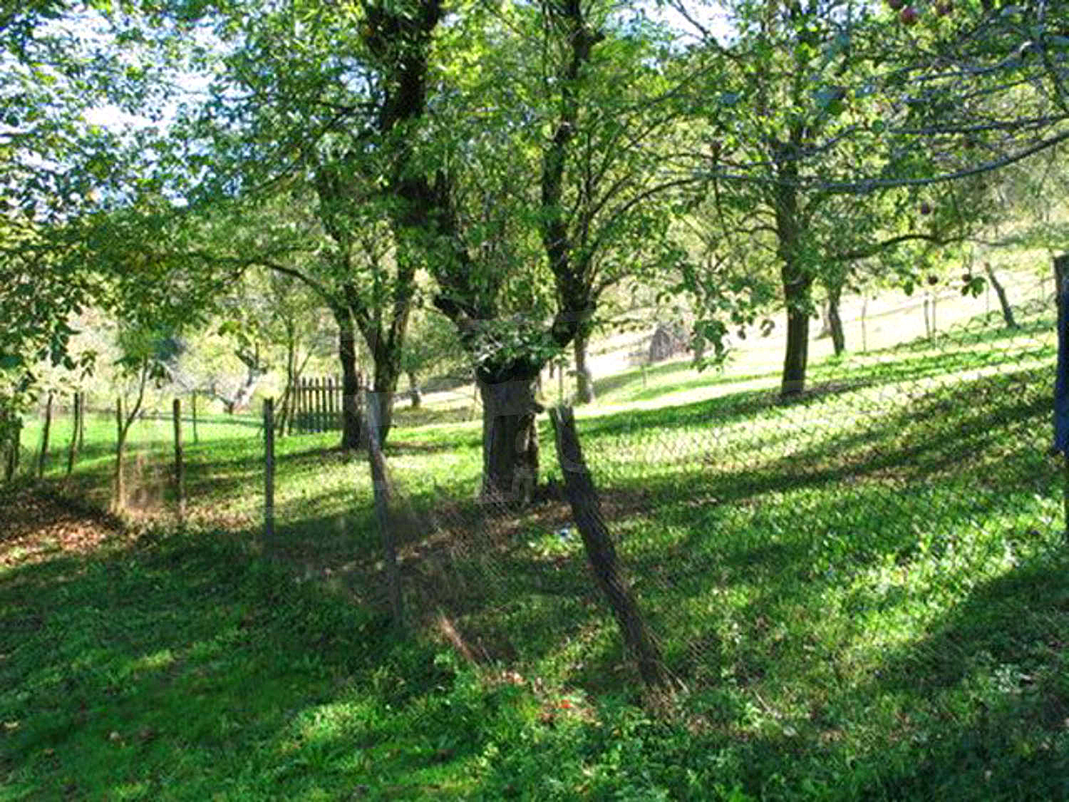 Gallery Picture 34